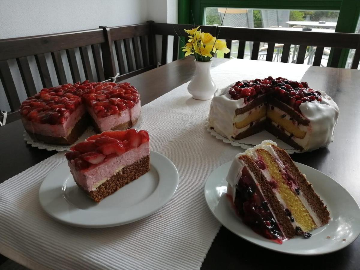 Chata Rozhlas Zelezna Ruda Exterior foto